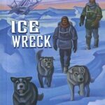 Ice wreck