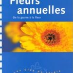Fleurs annuelles. De la graine ? la fleur