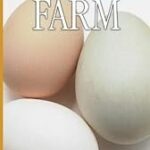 Eyewitness: Farm