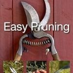 Simple Steps to Success: Easy Pruning