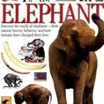 Eyewitness: Elephant