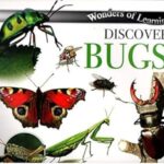Discover Bugs