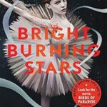 Bright Burning Stars