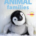 Animal Families