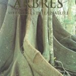 Les arbres