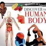 Discover Human Body
