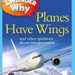 I Wonder Why Planes Have Wings