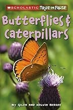 Butterflies cater