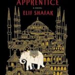 The Architect's Apprentice
