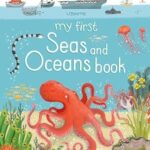 My First Seas and Oceans book