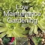 low maintenance garden