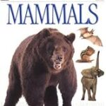 mammals