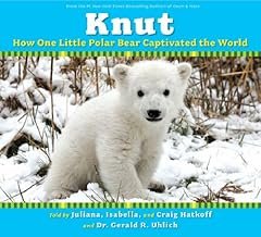 Knut