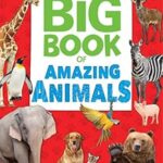 The Big Book Amazing Animals