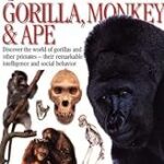 Eyewitness Books : Gorilla, Monkey & Ape