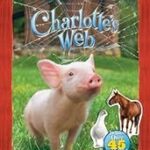 Charlotte's web