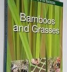 Simple Steps to Success: Bamboos & Grasses