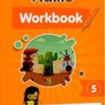 Picaro workbook 5