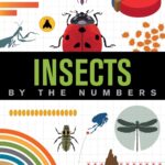 Insects: By The Numbers