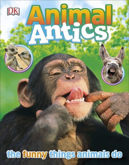 Animals Antics