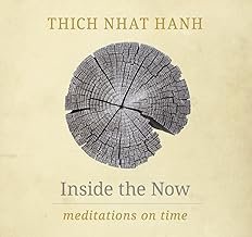 Inside the Now: Meditations on Time