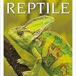 Reptile
