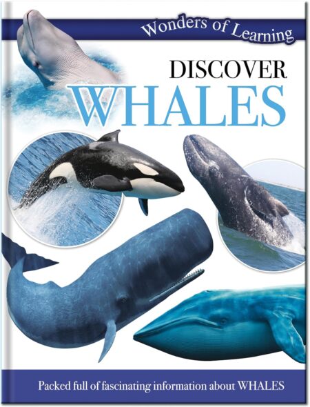 Discover Whales/Learning/NP