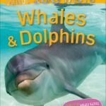 100 Facts Pocket Edition : Whales & Dolphins
