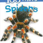 100 Facts Spiders