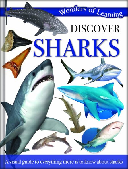 Discover Sharks