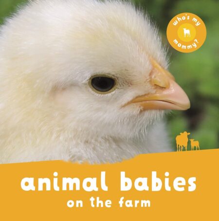 Animal Babies On the Farm