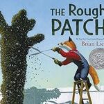 The Rough Patch