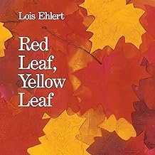 Red leaf yellow leaf