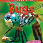100 Facts Pocket Edition : Bugs