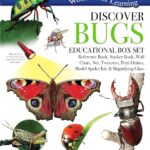 Discover Bugs - Educational(Wonders of Learning Box Set)