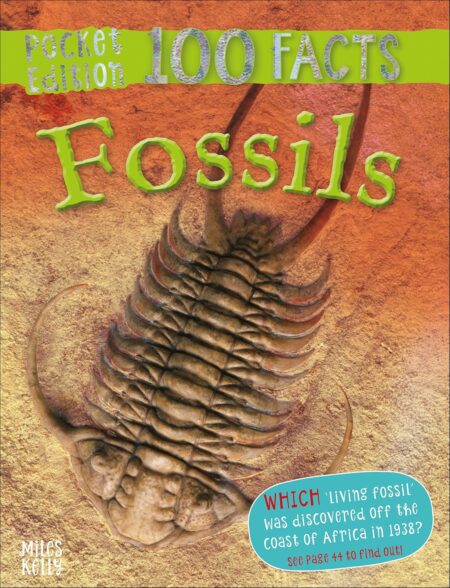 100 Facts Pocket Edition : Fossils