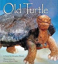 Old Turtle