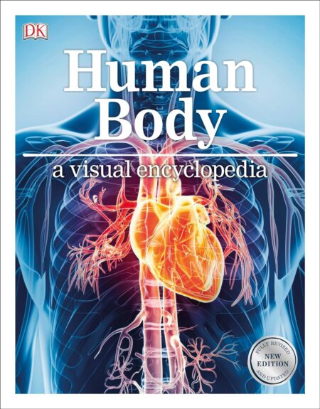 Human body