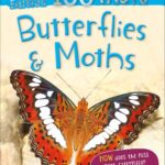 100 Facts Pocket Edition : Butterflies & Moths