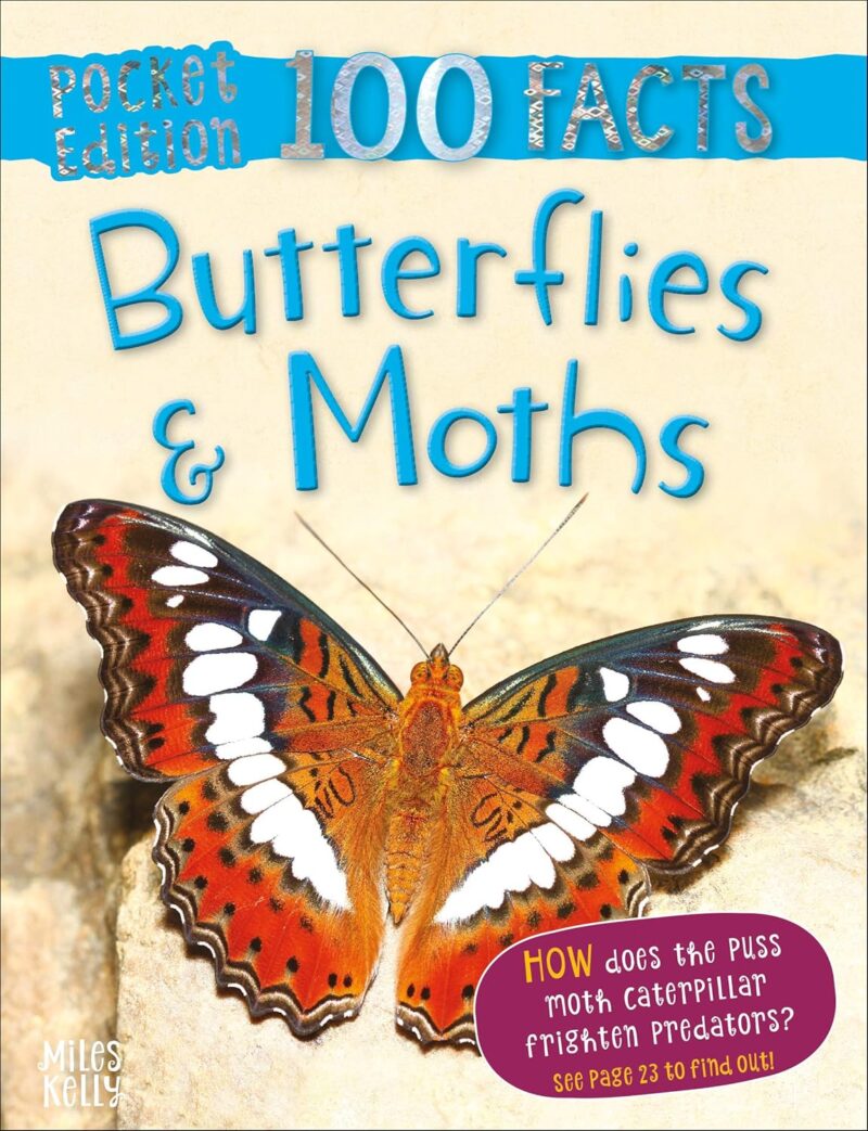 100 Facts Pocket Edition : Butterflies & Moths