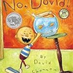 No David /Board/Scholastic