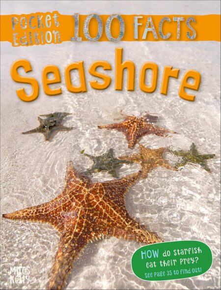 100 Facts Pocket Edition : Seashore