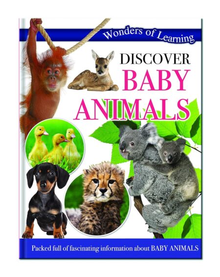 Discover Baby Animals