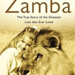 Zamba