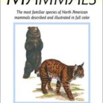An Instant Guide to Mammals
