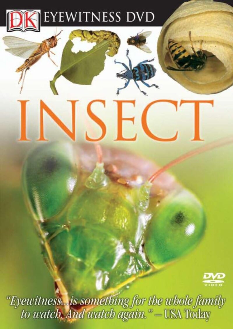 Eyewitness DVD: Insect
