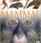 Mammal (DVD)