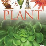 plant (DVD)