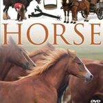 Horse (DVD)