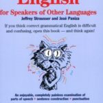 Painless English for Speakers of Other Languages